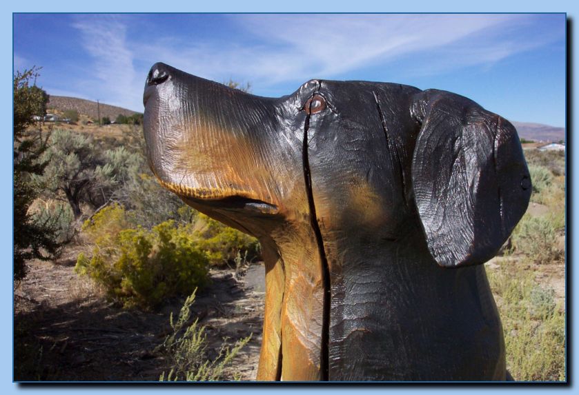 2-54 dog-rottweiler-archive-0010